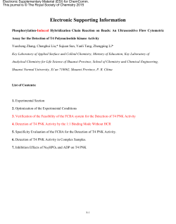 Electronic Supporting Information
