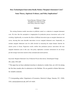 Does Technological Innovation Really Reduce Marginal