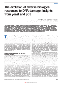 The evolution of diverse biological responses to DNA damage
