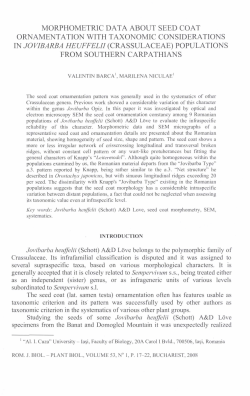 morphometric data about seed coat ornamentation with taxonomic