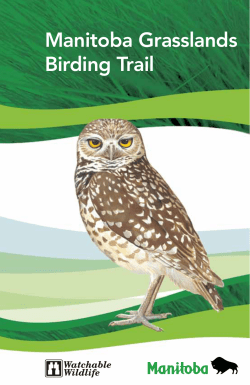 Manitoba Grasslands Birding Trail Guide