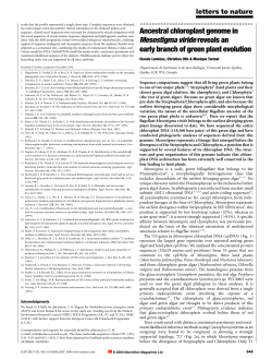 Ancestral chloroplast genome in Mesostigma viridereveals