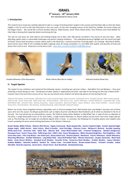 israel - CloudBirders