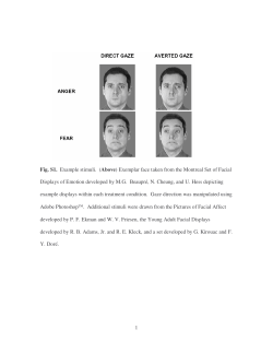 1 Fig. S1. Example stimuli. (Above) Exemplar face taken from the