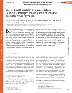 Loss of BubR1 acetylation causes defects in spindle assembly