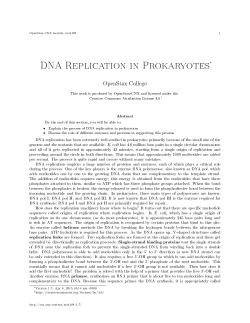 DNA Replication in Prokaryotes