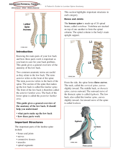 Lumbar Spine Anatomy - Advanced Physical Therapy CT