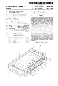 Mounting platform for an electronic device