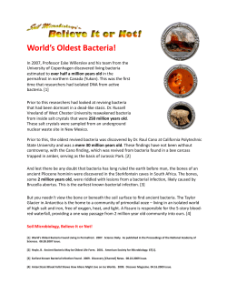 World`s Oldest Bacteria!
