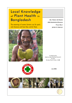 Findings - Envirobase