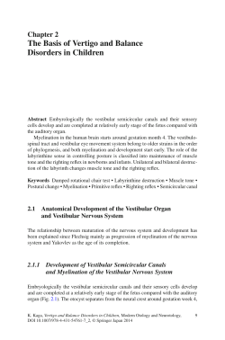 The Basis of Vertigo and Balance Disorders in Children