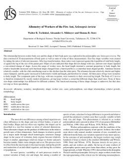 Allometry of Workers of the Fire Ant, Solenopsis invicta