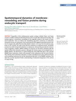 Spatiotemporal dynamics of membrane remodeling