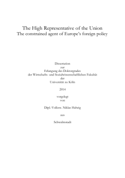 The High Representative of the Union