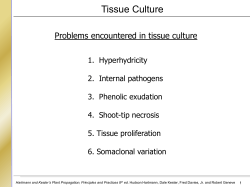 Problems encountered in tissue culture