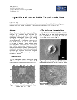 A possible mud volcano field in Chryse Planitia, Mars