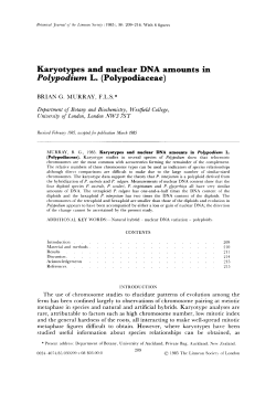 Karyotypes and nuclear DNA amounts in Polypodium L