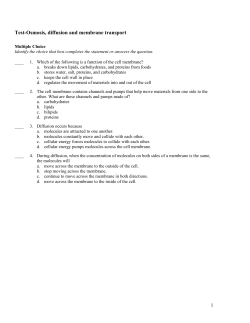 Test-Osmosis, diffusion and membrane transport