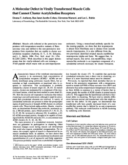 A Molecular Defect in Virally Transformed Muscle Cells that Cannot