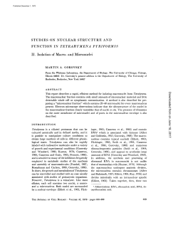 function in tetrahymena pyriformis