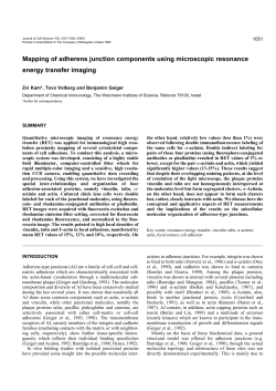 Mapping of adherens junction components using microscopic