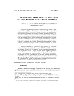 process simulation to obtain a synthesis gas with