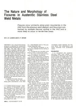 The Nature and Morphology of Fissures in Austenitic Stainless Steel