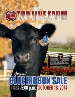 1 - Top Line Angus