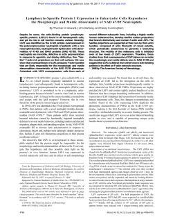 Lymphocyte-Specific Protein 1 Expression in