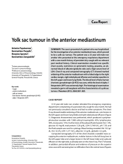 Yolk sac tumour in the anterior mediastinum