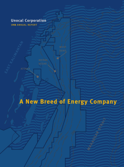 Unocal 1998 Annual Report
