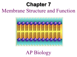 Chapter 7 - My Teacher Site