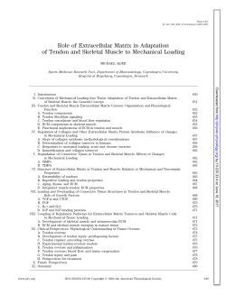 Role of Extracellular Matrix in Adaptation of Tendon and Skeletal