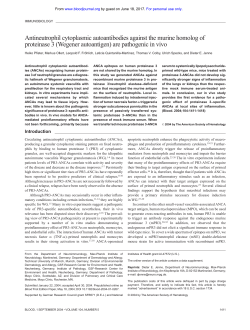Antineutrophil cytoplasmic autoantibodies against