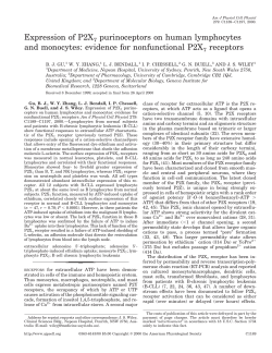 Expression of P2X7 purinoceptors on human lymphocytes and