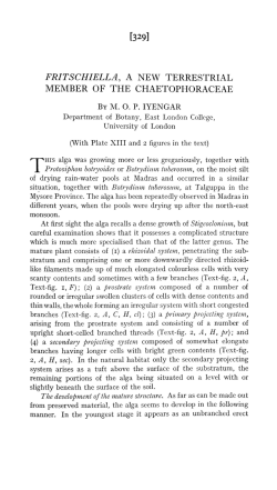 fritschiella, a new terrestrial member of the