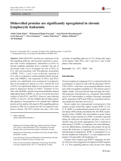 Dishevelled proteins are significantly upregulated in chronic