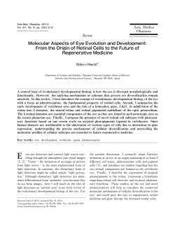 Molecular Aspects of Eye Evolution and Development: From the