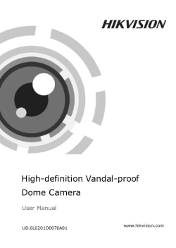 High-definition Vandal