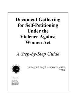 Document Gathering for Self-Petitioning Under the Violence Against