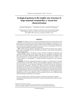 Ecological patterns in the trophic-size structure of large mammal