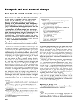 Embryonic and adult stem cell therapy