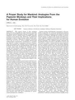 A proper study for mankind: Analogies from the Papionin monkeys