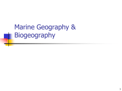 The Marine Environment