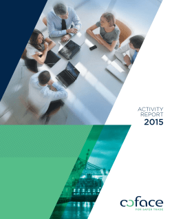 2015 Activity Report