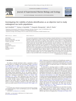 Investigating the viability of photo-identification as an objective tool