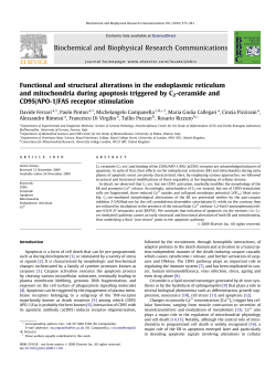 Functional and structural alterations in the