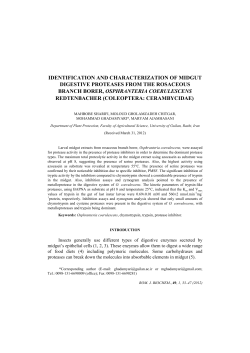 identification and characterization of midgut digestive proteases