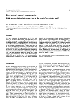 Biochemical research on oogenesis. RNA