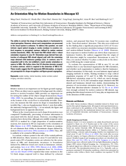 An Orientation Map for Motion Boundaries in